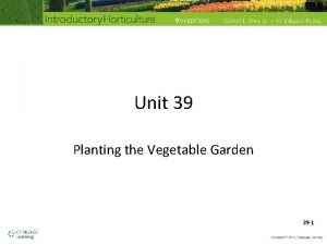 Unit 39 Planting the Vegetable Garden 39 1