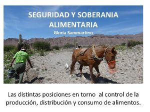 SEGURIDAD Y SOBERANIA ALIMENTARIA Gloria Sammartino Las distintas