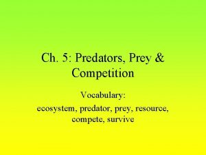 Ch 5 Predators Prey Competition Vocabulary ecosystem predator