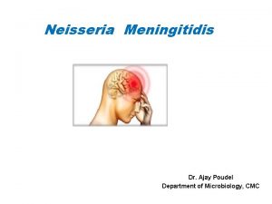 Neisseria Meningitidis Dr Ajay Poudel Department of Microbiology