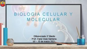 BIOLOGIA CELULAR Y MOLECULAR Diferenciado 3 Medio Prof