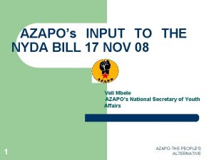 AZAPOs INPUT TO THE NYDA BILL 17 NOV