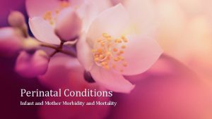 Perinatal Conditions Infant and Mother Morbidity and Mortality