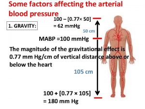 Some factors affecting the arterial blood pressure 1