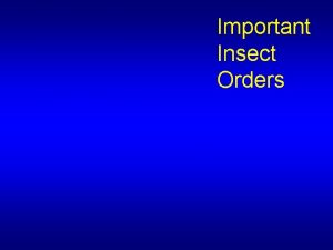 Important Insect Orders Depending upon which textbook you