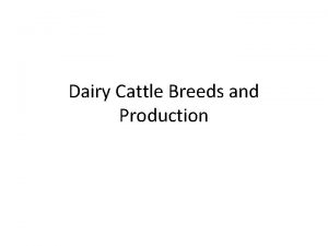 Dairy Cattle Breeds and Production Dairy Very high
