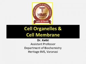 Cell Organelles Cell Membrane Dr Ketki Assistant Professor