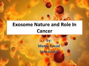 Exosome Nature and Role In Cancer by Manar