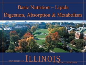 Basic Nutrition Lipids Digestion Absorption Metabolism Outline Dietary