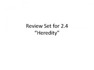 Review Set for 2 4 Heredity Siblings look