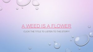 A WEED IS A FLOWER CLICK THE TITLE