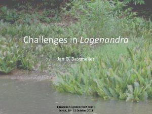 Challenges in Lagenandra Jan D Bastmeijer European Cryptocoryne