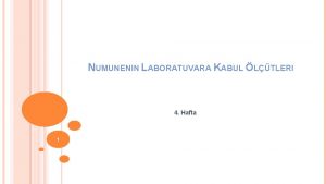 NUMUNENIN LABORATUVARA KABUL LTLERI 4 Hafta 1 2