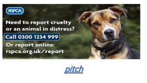 pitch My television advert is about society RSPCA