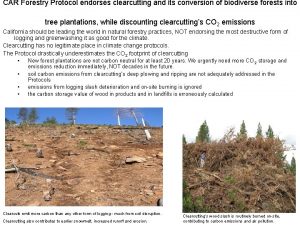 CAR Forestry Protocol endorses clearcutting and its conversion