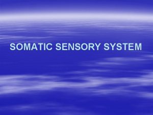 SOMATIC SENSORY SYSTEM REFLEX Receptor Stimulation Afferent system