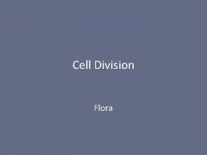 Cell Division Flora Two Parts of Cell Division