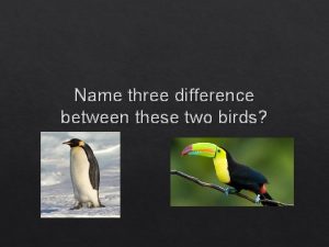 Name three difference between these two birds Classification