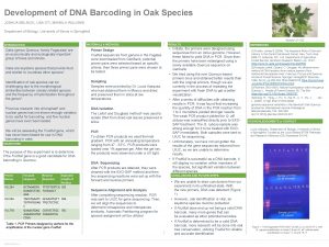 Development of DNA Barcoding in Oak Species JOSHUA