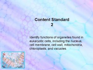 Content Standard 2 Identify functions of organelles found