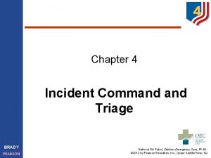 Chapter 4 Incident Command Triage BRADY National Ski