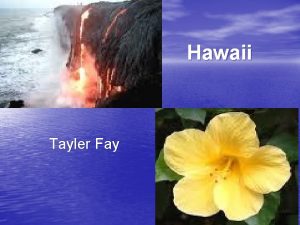 Hawaii Tayler Fay Introduction Did you know that