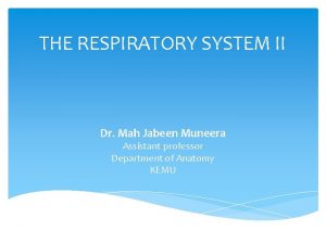 THE RESPIRATORY SYSTEM II Dr Mah Jabeen Muneera