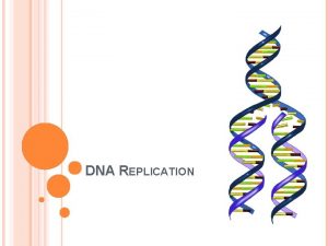DNA REPLICATION DNA REPLICATION The complementary base pairing
