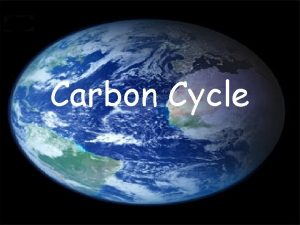 Carbon Cycle Nutrient Cycles The constant supply of