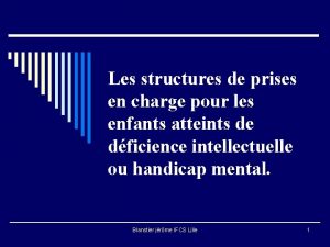 Les structures de prises en charge pour les