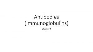 Antibodies Immunoglobulins Chapter 4 Antibody structure and function