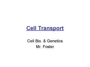 Cell Transport Cell Bio Genetics Mr Foster Cell