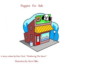 Puppies For Sale A story written by Dan