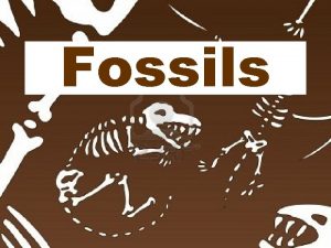 Fossils What is a fossil Fossils are the