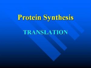 Translation Protein Synthesis RNA protein Making a protein