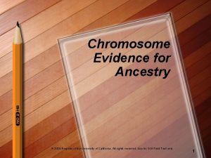 Chromosome Evidence for Ancestry 2008 Regents of the