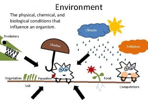 Environment The physical chemical and biological conditions that