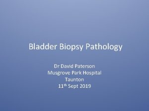 Bladder Biopsy Pathology Dr David Paterson Musgrove Park