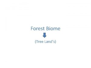 Forest Biome Tree Lands Forest Biome The Forest