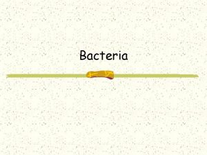 Bacteria Bacteria Singlecelled microscopic organisms Do NOT have