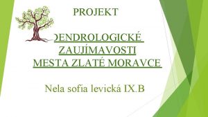 PROJEKT DENDROLOGICK ZAUJMAVOSTI MESTA ZLAT MORAVCE Nela sofia