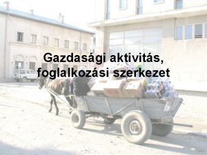 Gazdasgi aktivits foglalkozsi szerkezet A gazdasgi aktivits fogalma