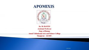 APOMIXIS Dr M BASTIN Assistant Professor Dept of