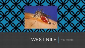 WEST NILE Felicia Henderson HISTORY West Nile virus