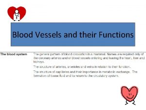 Blood Vessels and their Functions Blood Vessels Arteries