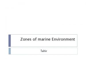 Zones of marine Environment Tahir Intertidal Ocean ecosystem