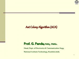 Ant Colony Algorithm ACA Prof G Panda FNAE