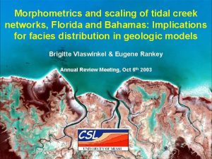 Morphometrics and scaling of tidal creek networks Florida