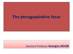 The pterygopalatine fossa Assistant Professor Georges AOUN The