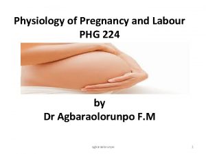 Physiology of Pregnancy and Labour PHG 224 by